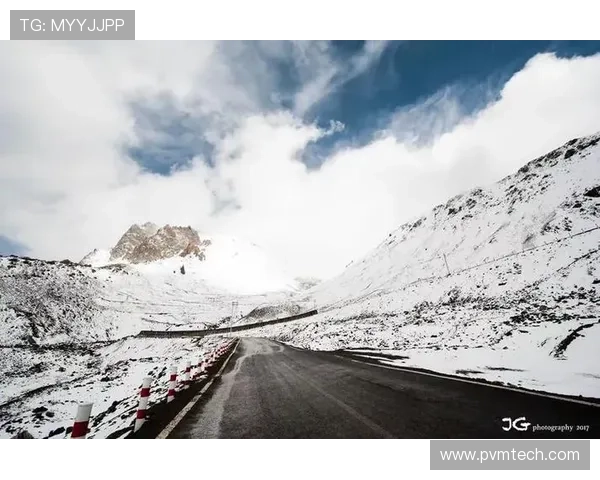 球员不足谁之责兰格并非独担