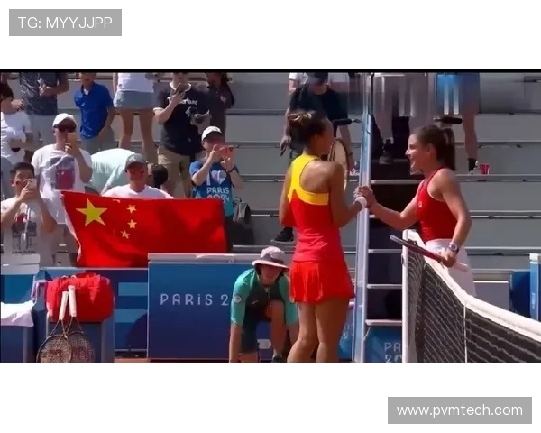 达尔批维尼修斯不尊重球迷行为